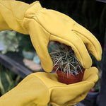 Garden Gloves with Extended Wrist Protection for Arthritis