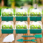 Seed Starter Tray with Humidity Dome - Indoor Gardening