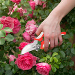 Garden Pruning Shear Set - Ergonomic Handles for Effortless Cutting