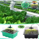 Spring Flower Seed Starter Kit with LED Grow Lights