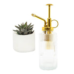 Plant Mister Spray Bottle with Long Nozzle | Premium